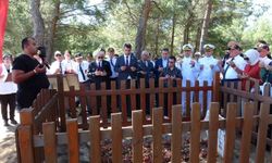 Şehit Tabip Binbaşı Mehmet İsmail Bey, kabri başında dualarla anıldı