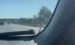 Seyir halindeki aracın kaputunda yılan paniği
