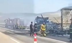 Seyir halindeki tır alev alev yandı