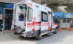 Siirt'te devrilen traktörün altında kalan sürücü hayatını kaybetti