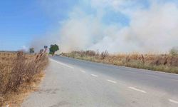 Silivri'de korkutan tarla yangını: Polis vatandaşları uyardı