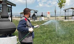 Sincan Belediyesinden yaz aylarına özel ilaçlama