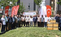 Şırnak'ta 25 üreticiye yüzde 75 hibeli arıcılık ekipmanı dağıtıldı