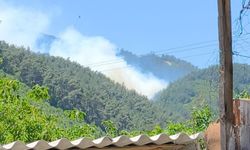 Soma'daki orman yangınına müdahale devam ediyor