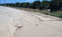 Vatandaş belediyeden umudu kesince cebinden para verip çukura beton döktü
