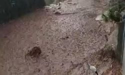 Yahyalı'da yağış sele neden oldu, evler araçlar zarar gördü