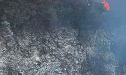 Yayladağı'nda ormanlık alanda çıkan yangın kontrol altına alındı