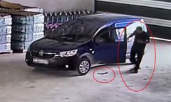 Yılan giren araca binmek isteyince korku dolu anlar yaşadı