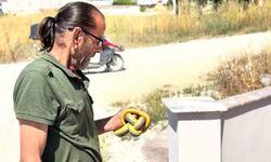 Yılanları çıplak elleriyle yakalayıp doğaya salıyor