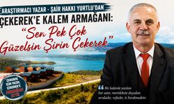 Araştırmacı Yazar - Şair Hakkı Yurtlu'dan Çekerek'e Kalem Armağanı: "Sen Pek Çok Güzelsin Şirin Çekerek"