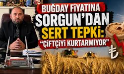 Buğday Fiyatına Sorgun'dan Sert Tepki: "Çiftçiyi Kurtarmıyor"