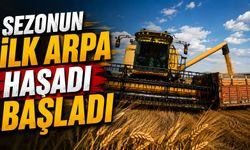 Sezonun ilk arpa hasadı başladı: Verim geçen yıla oranla yüksek