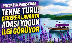 Yozgat'ın Parisi'nde Tekne Turu: Çekerek Lavanta Adası Yoğun İlgi Görüyor