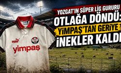 Yozgat'ın Süper Lig Gururu Otlağa Döndü: Yimpaş'tan Geriye İnekler Kaldı