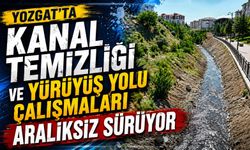 Yozgat'ta Kanal Temizliği ve Yürüyüş Yolu Çalışmaları Aralıksız Sürüyor