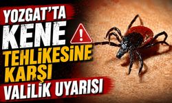 Yozgat'ta Kene Tehlikesine Karşı Valilik Uyarısı