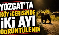 Yozgat'ta iki bin yıllık olduğu değerlendirilen lahit bulundu