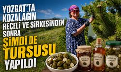 Yozgat'ta kozalağın reçeli ve sirkesinden sonra şimdi de turşusu yapıldı