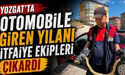 Yozgat'ta otomobile giren yılanı itfaiye ekipleri çıkardı