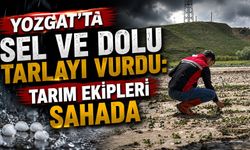 Yozgat'ta Sel ve Dolu Tarlayı Vurdu: Tarım Ekipleri Sahada