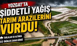 Yozgat'ta şiddetli yağış tarım arazilerini vurdu