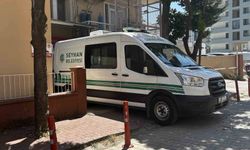 Adana'da sulama kanalına düşen 2 kardeş hayatını kaybetti