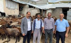 Ağrılı çiftçilere müjde: Yetiştiricilere yüzde 50 hibeli makine ve uygun fiyatlı hayvan ilaçları desteği