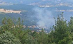 Ahırda çıkan yangın ormana sıçradı, büyümeden söndürüldü