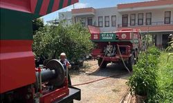 Alanya'da avokado bahçelerinin bulunduğu zirai alanda yangın