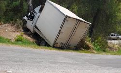 Alanya'da kamyonet ağaca çarptı: 1 ölü, 1 ağır yaralı