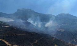 Alanya'daki orman yangınında mücadele ikinci gününde: Bölge dron ile görüntülendi