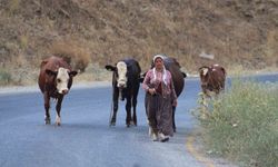 Alevlerden kaçtılar, hayvanlarını ve kendi canlarını zor kurtardılar