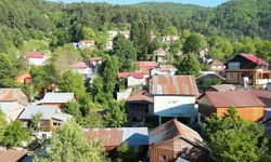 Amanosların eteklerindeki Zorkun Yaylası yazın vazgeçilmezi oldu