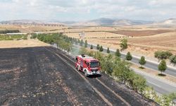 Anız yangını ağaçlık alana sıçramadan söndürüldü