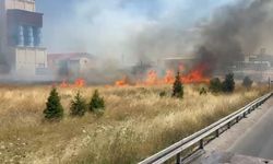 Anız yangını trafikte aksamaya neden oldu