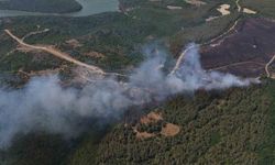 Anızdan ormana sıçrayan yangın dron ile görüntülendi