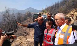 Antalya Büyükşehir Belediyesi Başkan Vekili Özdemir: 'Ekipler yangının etrafını yüzde 80 oranında çevirdi'
