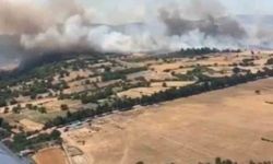Balıkesir Altıeylül'de orman yangını