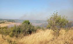 Balıkesir'de arazi yangınına Orman ve itfaiye ekipleri müdahale etti