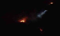 Balıkesir'de gece yarısı orman yangını çıktı