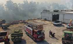 Balıkesir'de üç ayrı noktada yangın
