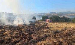 Bandırma'da buğday tarlasında çıkan yangın ekiplerin müdahalesiyle söndürüldü