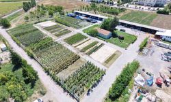 Battalgazi Belediyesi parklarda kendi üretimini kullanıyor