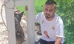 Belçika kurdunu zehirleyip direğe asarak telef ettiler