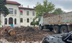 Bilecik Valiliği bahçesindeki dev çam ağaçları kesildi