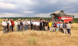 Bilecik'te kanola üretiminde rekolte beklentisi 2 bin 160 ton