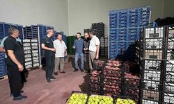 Bilecik'teki soğuk hava deposunda inceleme