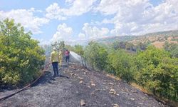 Bingöl'de orman yangını büyümeden söndürüldü