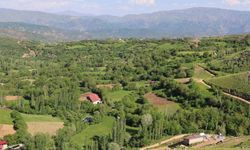 Bitlis Hizan yaban hayatıyla öne çıkıyor