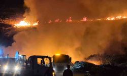 Bodrum'da makilik alanda yangın